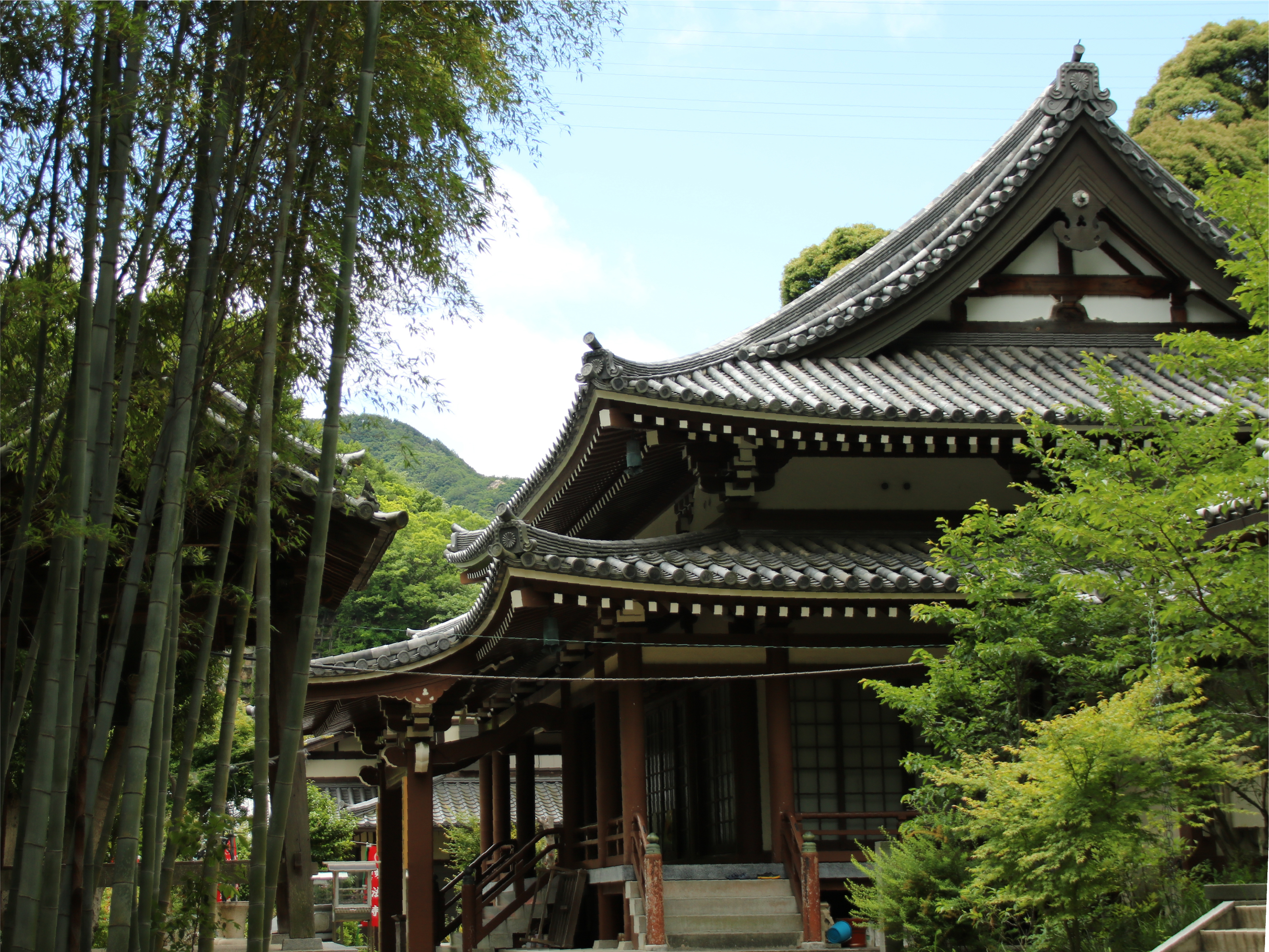 森の中に佇む寺院の外観